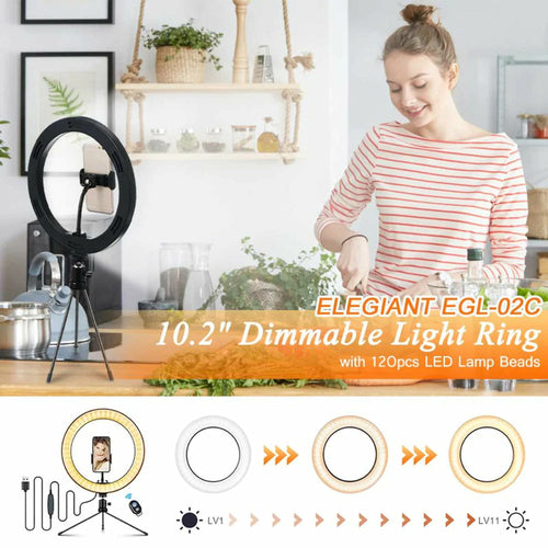 10" Table Top Selfie LED Circle Lamp